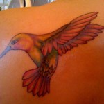 Hummingbird Tattoos