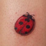 Ladybug Tattoos